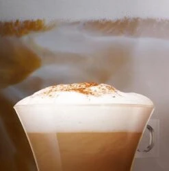 Nescafé Dolce Gusto Cappuccino Capsules - 90 Koffiecups 15 Nescafé Dolce Gusto Cappuccino Capsules - 90 Koffiecups -Koffie/Drankjes Winkel 1190x1200 4