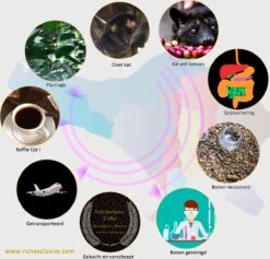 Kopi Luwak Koffie. 35 Gram Ongemalen Bonen. Direct Trade. Single Origin. The Original By Rich.Exclusive. -Koffie/Drankjes Winkel 1200x1153