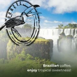 Soolong Enjoy Brazilie Nr4000 Koffiebonen Topacio Lungo - Speciality Koffie Arabica Medium Roast, Light Body Met Een Verfijnde Zacht Zoete Smaak. - Zak 250gram -Koffie/Drankjes Winkel 1200x1200 162