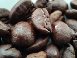 Voordeelpakket: Den Leeuw Lungo (80 Koffiecups) - Roast Koffiecups - Echte Hollandsche Koffie Van Den Leeuw In Nespresso Cups - Nespresso Compatibele Koffie Cups 12 Voordeelpakket: Den Leeuw Lungo (80 Koffiecups) - Roast Koffiecups - Echte Hollandsche Koffie Van Den Leeuw In Nespresso Cups - Nespresso Compatibele Koffie Cups -Koffie/Drankjes Winkel 1200x900 2