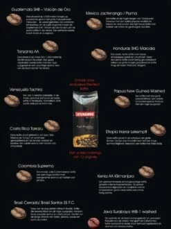 Catunambú Predilect Koffiebonen 500gram - Premium Kwaliteit Koffie - Horecakoffie Voor Thuis - Ultiem Koffiegenot 5 Catunambú Predilect Koffiebonen 500gram - Premium Kwaliteit Koffie - Horecakoffie Voor Thuis - Ultiem Koffiegenot -Koffie/Drankjes Winkel 897x1200